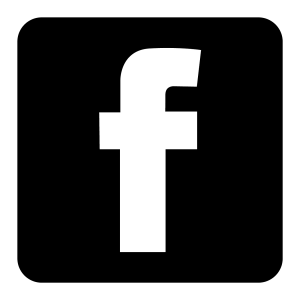 FB icon